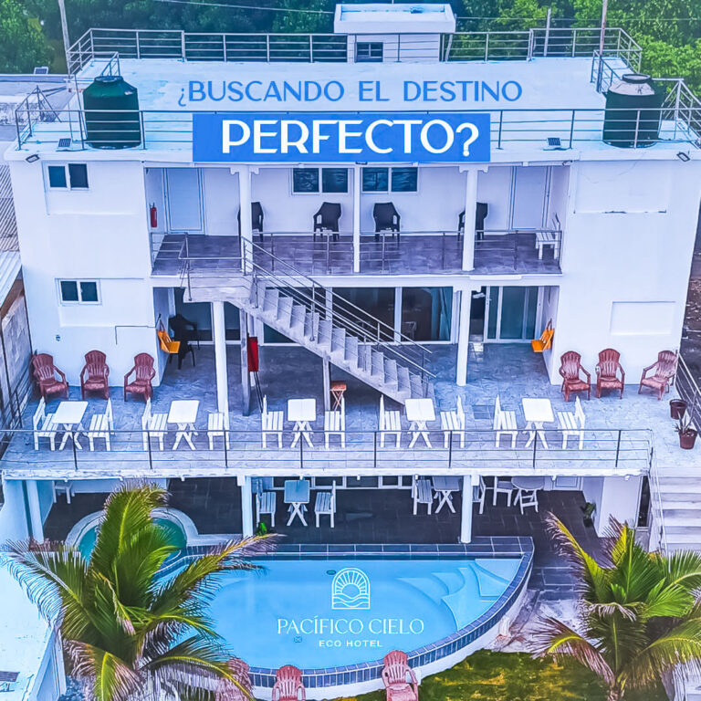 whatsapp image 2025 11 10 at 11.21.15 (3)